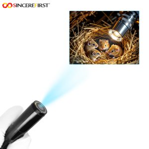 Waterproof12MP 4K Autofocus Endoscope Camera Module for High-Detail Inspection with IP67 Protection