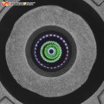 SF4X989AFBY V1.0 (1)